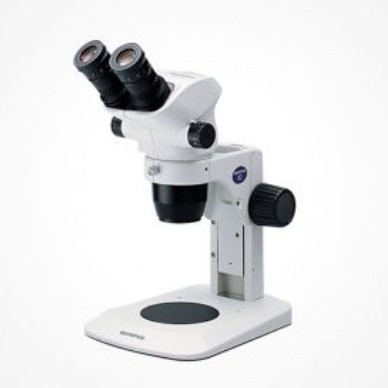 OLYMPUS 奥林巴斯  SZ61 体视显微镜