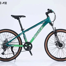 山地自行车;自行车;折叠自行车