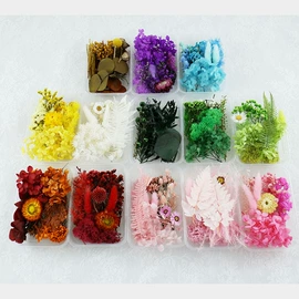 永生花;鲜花花艺制品;干花