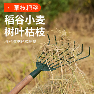 # Household Rake, Iron Rake, Steel Rake, Agricultural Tools, Gardening Tools, Vegetable Garden Leaf Rake, Grass Climbing Gold