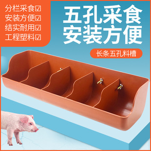 �Ӻ�С�i�ϲ����i�a�ϲۮa���������i�ý��ϲ����iι�������iʳ��