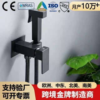冷热水预埋式马桶伴侣水龙头暗装妇洗器套装铜主体冲洗清洁器喷枪
