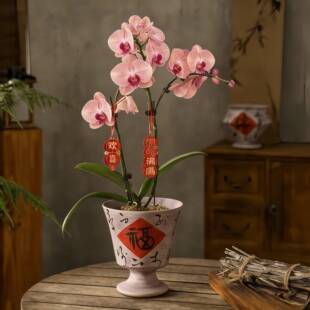 ������մɻ�����_���L�����������m������ÿ͏d�[���Gֲ�����l