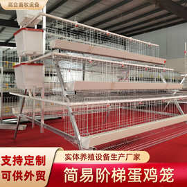 四层四门阶梯蛋鸡笼镀锌鸡笼工厂养殖蛋鸡笼子白色食槽鸡笼子现货