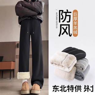 �|�����ѝ���q��ů�ӽq����2026�¿��ճ��ٴ�㼑����eѝֱͲѝ