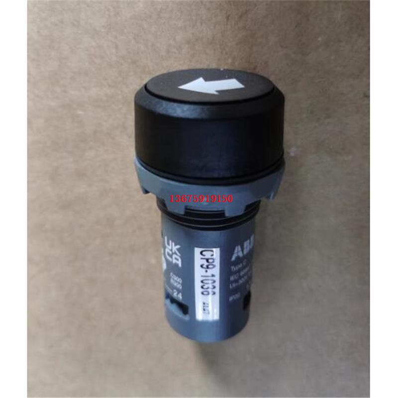 ABB带功能符号按钮 CP9-1036  复位型 带1NO