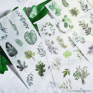 ����ɐ��������~�N�� �ͼ��N���W�����~��ӛDIY�b�ͯ�N��