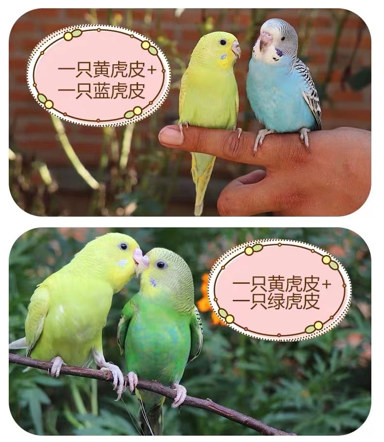 d9b4ed9b-5b6f-46f5-ad9f-9fe202b69b88.jpe