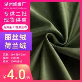 现货工厂丽丝绒荷兰绒玩具绒布面料窗帘沙发抱枕服装束口袋布料