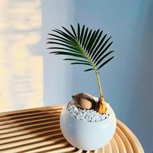 �K�F�ɐ�С�����k���҃���X����Gֲ�������Է�ݗ��