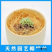 ���Ϸ��x��������ȫ��ˇ��Ҭ����b�ֲ����ȻҬ���ؽz�����ʯ