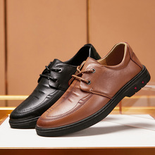 2026�����¿���Ƥ��ʿ�������eЬ 늽����y���m�Ͼ���Ь�S�����l