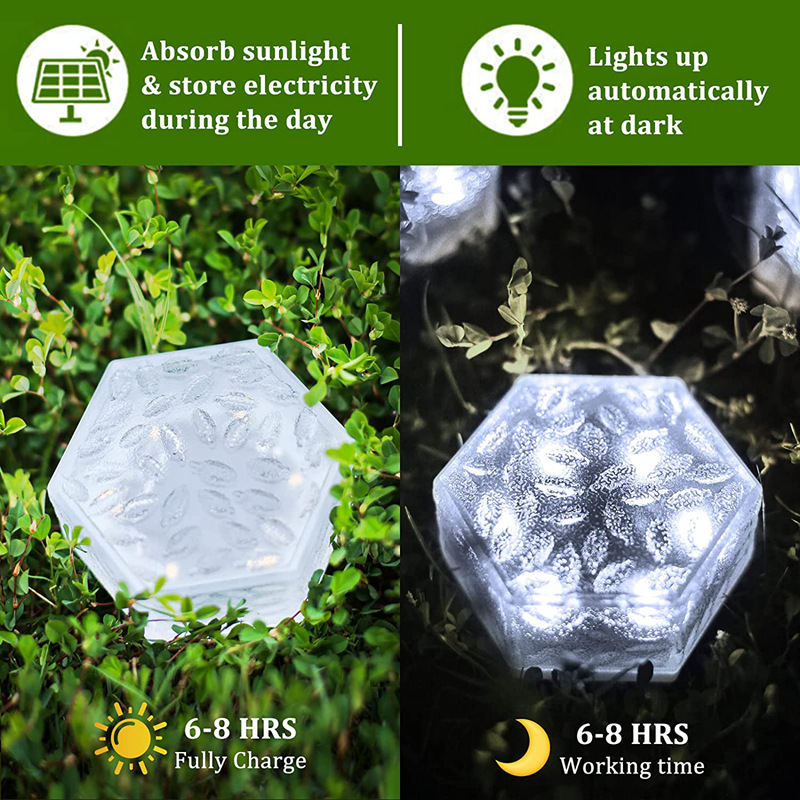 818AJhll0EL._AC_SL1500_ (1).jp