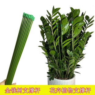 ���X��֧�ΗU����ֲ��@ˇ���������̨����֧�μ����ټ̶ܹ�֧��