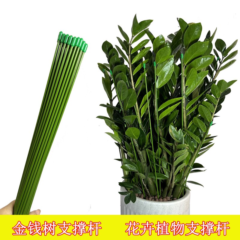 Money Tree Support Rod Flower Plant Gardening Flower Stand Potted Balcony Flower Pot Support Frame Climbing Frame Fixed Bracket Money Tree Support Rod Flower Plant Gardening Flower Stand Potted Balcony Flower Pot Support Frame Climbing Frame Fixed Bracket