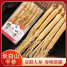 森美仁长白山人参干参生晒参白参东北吉林人参泡酒泡水煲汤