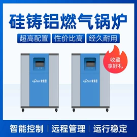 蒸汽发生器;燃气锅炉