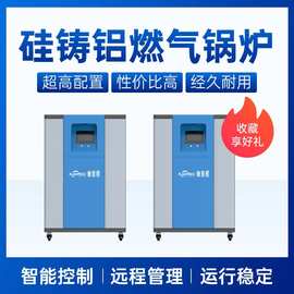 硅铸铝燃气锅炉酒店洗浴配套设备供热水供暖天然气液化气热水锅炉