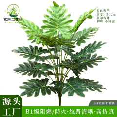 緑植万年青園林緑化造景春芋工事の布景装飾難燃花葉万年青柄束