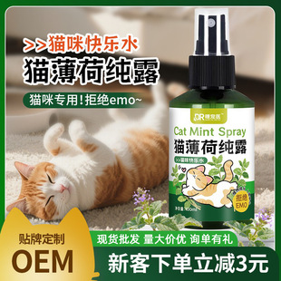 Warm Pet Medical Catnip Spray Liquid Inducer 100ml Pet Cat Happy Water Emotional Soothing Wholesale