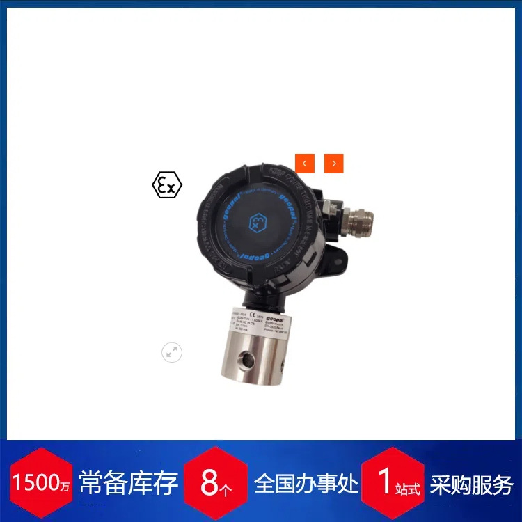供应丹麦GEOPAL气体探测器Geopal GJ-EX 150