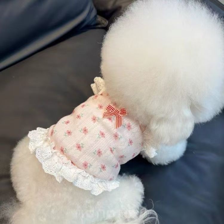 봄, 여름, 가을 신상 플라워 레이스 끈 짧은 조끼 공주 치마 보미 비숑 강아