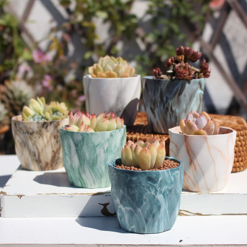 Ceramic fleshy flowerpot thumb pot stoneware breathable pot Nordic style small flowerpot simple fleshy pot Amazon explosions