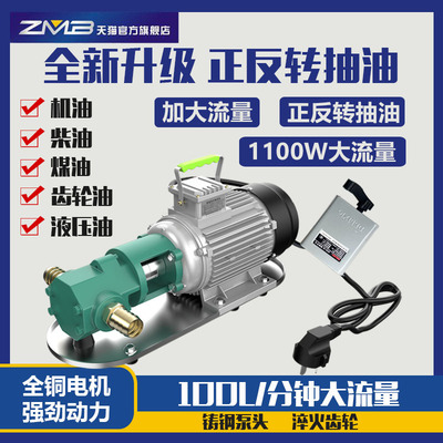 Positive and negative Gear pumps Electric Oil well pump diesel oil engine oil Cooking oil Hydraulic oil 220V Diesel pumps