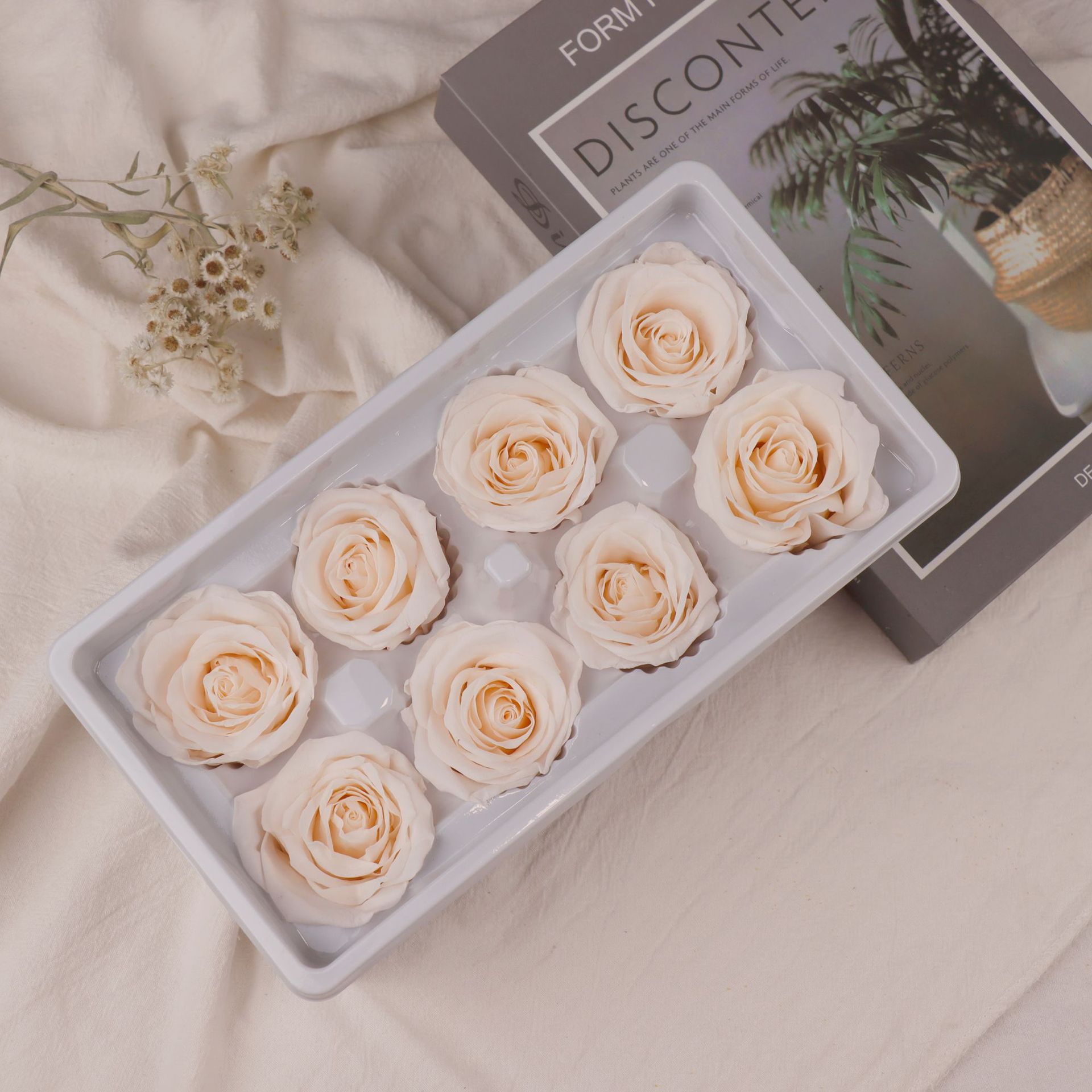 Cabeza de Rosa Preservada B+, 4-5 cm, Regalo para el Día de San Valentín Chino, Ramo de Flores Preservadas al por Mayor, Flores Secas para DIY, 520