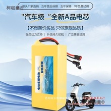 36v48v电动车锂电池大容量新能源滑板车三轮车三元锂动力锂麦太保