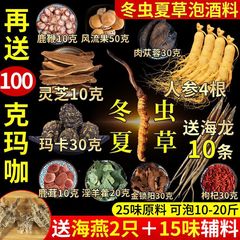 养生持久泡酒药材男滋补药酒配方男性泡酒料十全大补套装