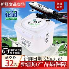 【顺丰航空】新疆花园手工酸奶桶装1KG低温风味发酵乳水果捞沙拉