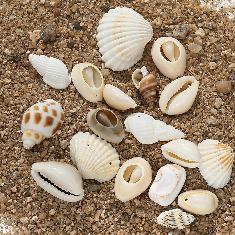 Single Hole Natural Shell Conch Pendant Perforated Shell Conch Beads DIY Handmade Earrings Necklace Hat Accessories Single Hole Natural Shell Conch Pendant Perforated Shell Conch Beads DIY Handmade Earrings Necklace Hat Accessories