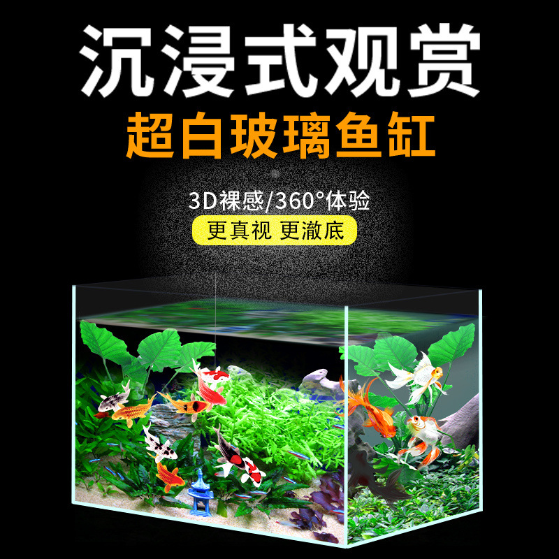 6f6fe72d-0ca4-4d25-bca0-7436d2e06e8a.jpe