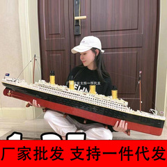 【メーカー卸売り】タイタニック号はレゴの積み木と互換性があります。