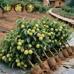 �������Ә���޽��ش�����Ó��������ӹ������ϱ����N���A�����