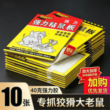 ����ճ����ճ������һ�Cȫ�˲��������及���zճ��岶����