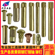 �����T��S�~� �L���~�T��~�NᔝL�� �~�L���N�S�~ �����~�