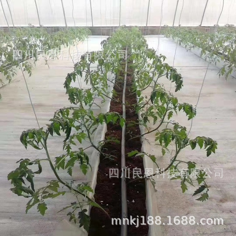 微信图片_20210118112630