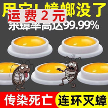 家用屋神器灭大小通杀饵胶厨房卧室捕捉器无毒除杀死跨境专供代发