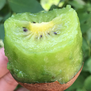 �������������J���ҡ��G���殐���Ǽt�ĶY���ͶY5���rˮ�����l
