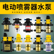 12V电动喷雾器水泵微型纯铜芯农用水泵源头厂家喷雾器高压隔膜泵