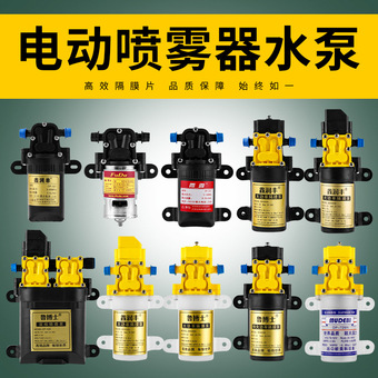 12V电动喷雾器水泵微型纯铜芯农用水泵源头厂家喷雾器高压隔膜泵