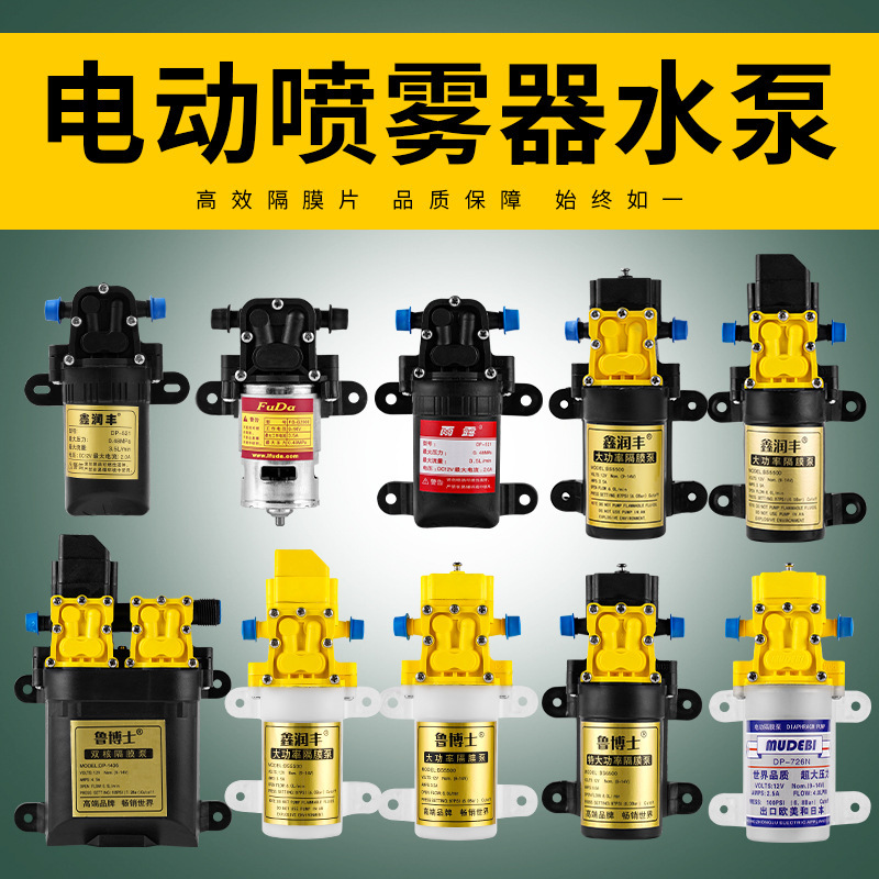 12V Electric Sprayer Water Pump Micro Pure Copper Core Agricultural Water Pump Source Manufacturer Sprayer High Pressure Diaphragm Pump