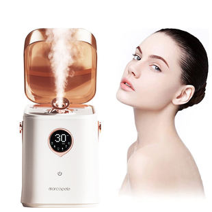 Manufacturer's Private Model Accessible Luxury Household Facial Steamer Nano Spray Hydrating Beauty Instrument Facial Moisturizing Hot and Cold Spray Steam Machine