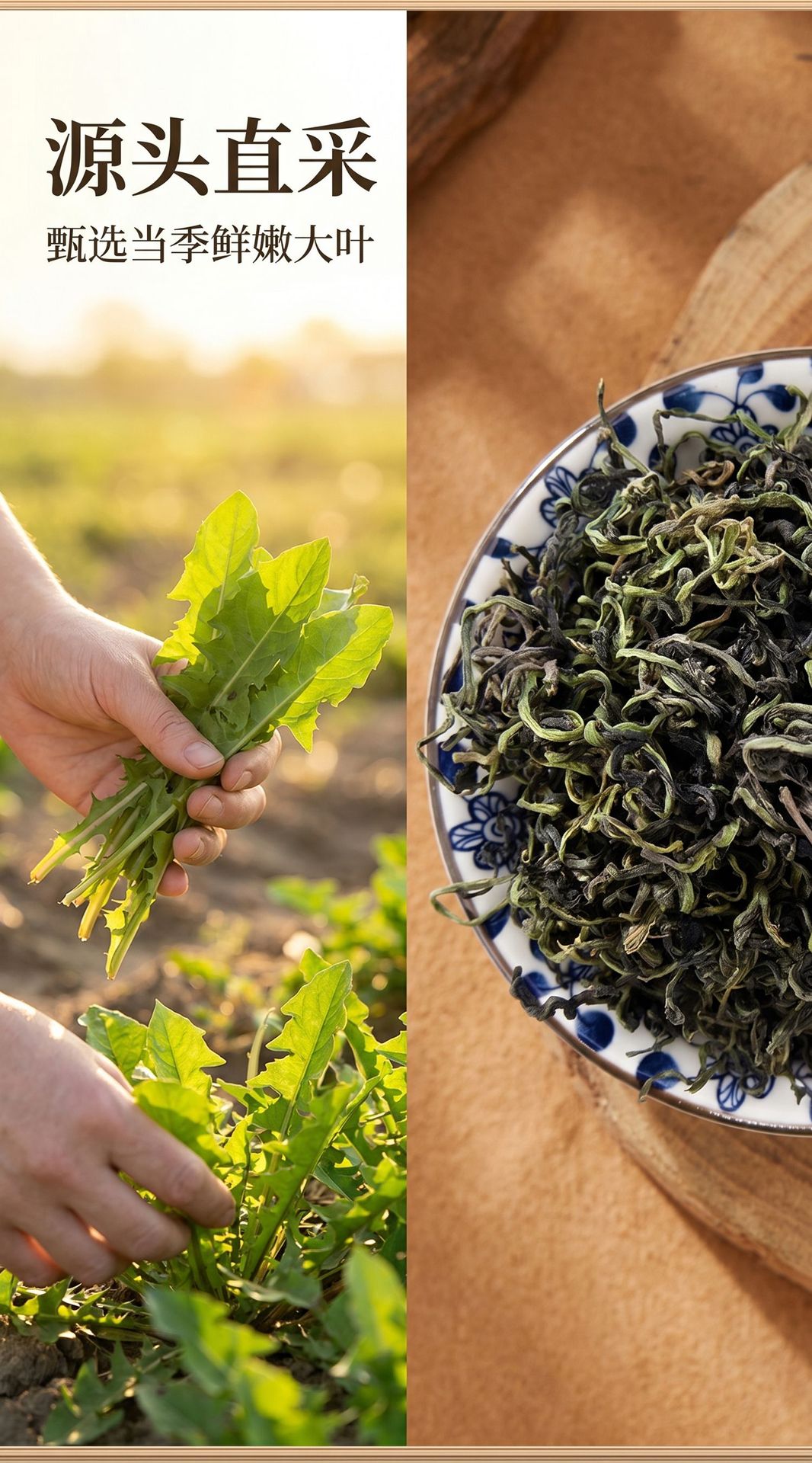 Dandelion Leaf Tea Pu Gong Ying 500g Naturally Sun Dried Loose Herbal Tea for Daily Brewing quality and texture