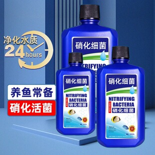 ���������~���Ã�ˮ���~ș�B�~����ˮ�|�������~�S�������Һˮ��