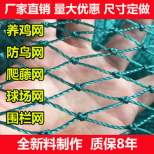 【养鸡鸭网专用】家禽养殖网养鸡网拦鸡鸭网围网山鸡网菜园网天网
