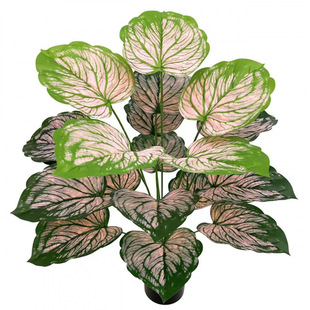 Simulation Green Plant Mitalal Wedding Family Decoration Bonsai Potted Pseudo -Pseudo -Trees Apple Soft Plant Wall Foreign Trade