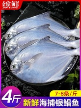 �y�K�~���r��������r���K�~���~���~ƽ�~�c�~���~���rˮ�a�ǽ��K